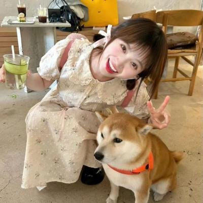 我属于谁海报